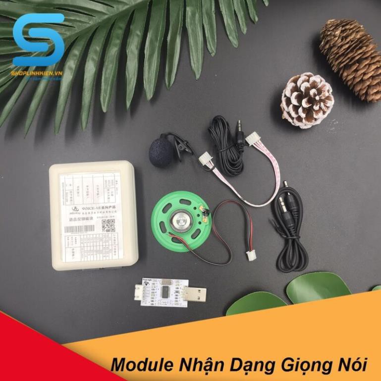 Module Nhận Dạng Giọng Nói REC-V2