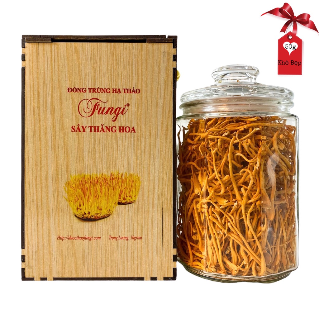 Nấm Đông Trùng Hạ Thảo khô sấy thăng hoa Fungi 50g kèm hộp gỗ sợi đẹp - Dược Thảo Fungi