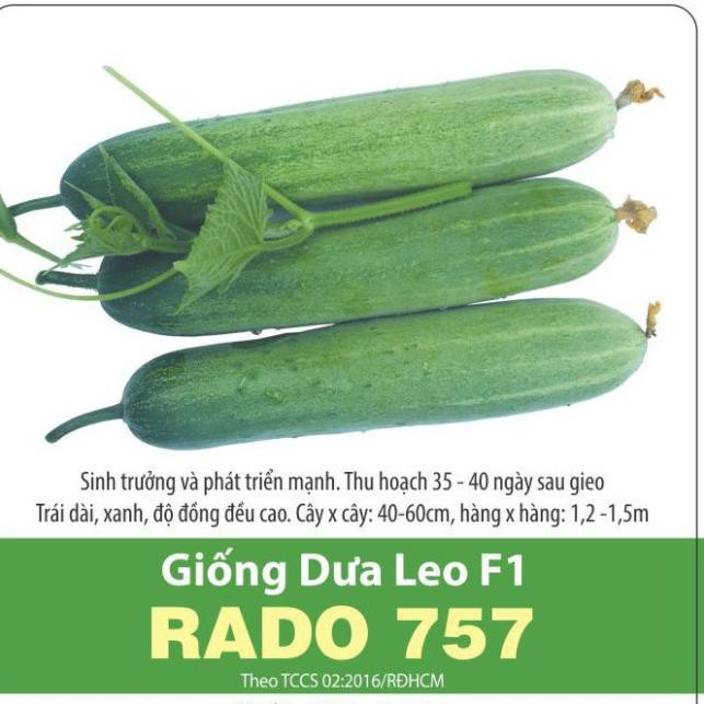 Hạt Giống Dưa Leo F1 Dễ Trồng, Giòn Ngọt 1gr