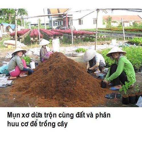 Mụn xơ dừa dùng trồng lan, rau sạch, cây cảnh 1kg