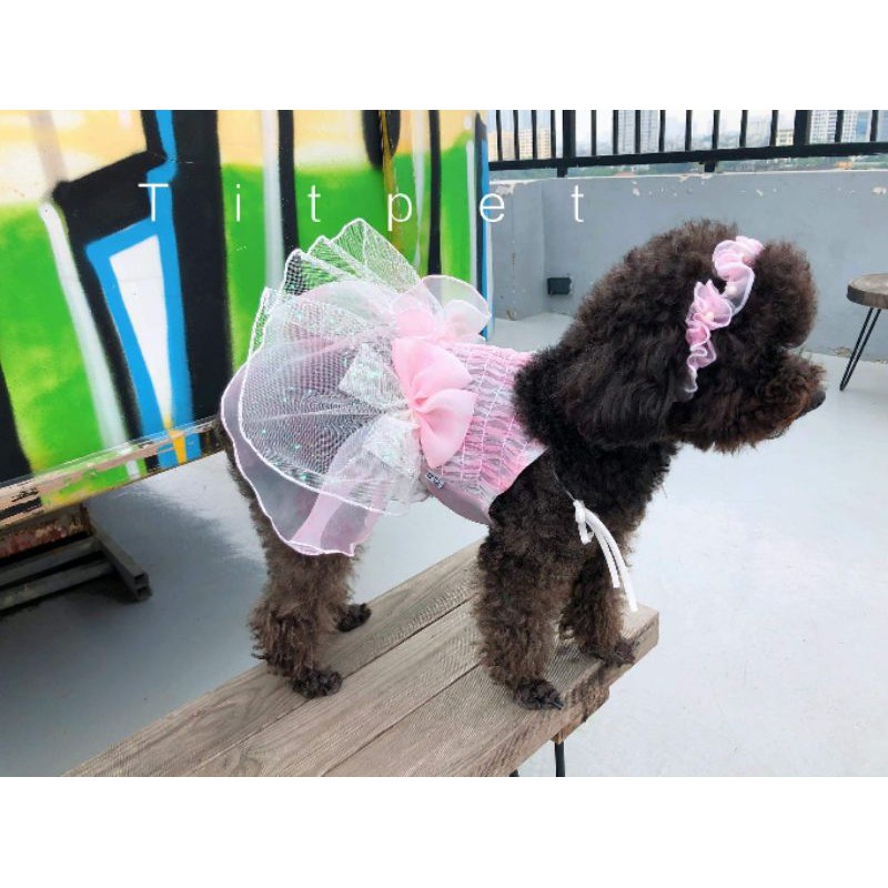 [2021] váy công chúa cho chó mèo