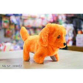 Chó biết đi biết hát