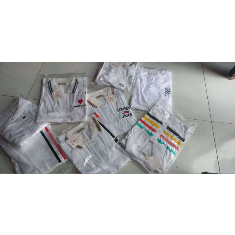 Áo polo nữ thun cotton đẹp y hình