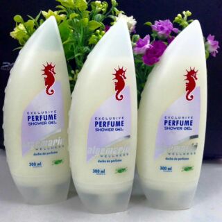 Combo cá ngựa 160k