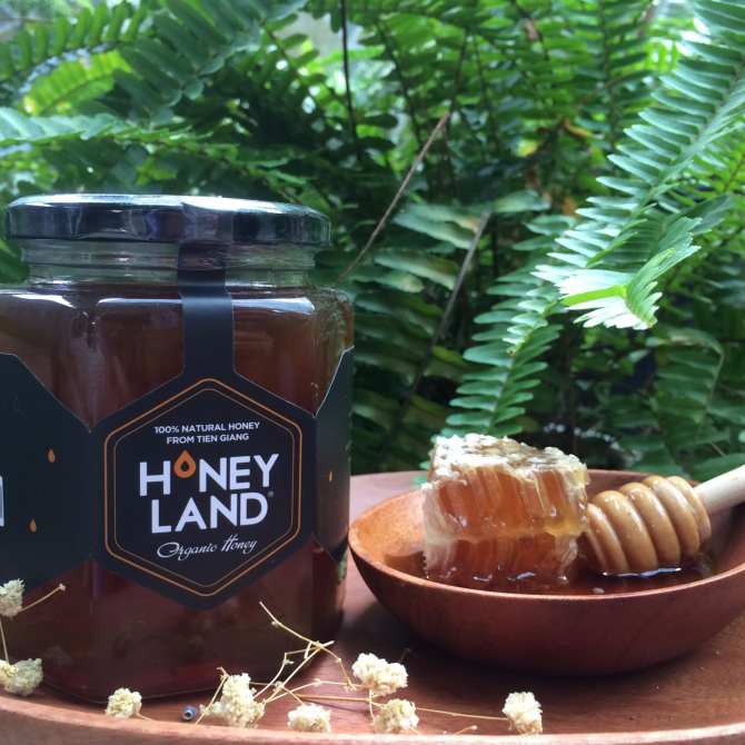 MẬT ONG HOA NHÃN HONEYLAND 480G