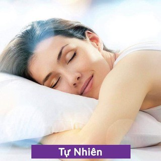 TRÀ NGỦ NGON VINATEA ++