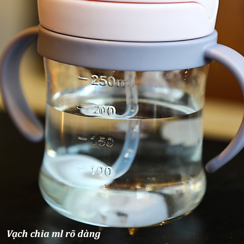 Bình Tập Uống Nước Cho Bé, Bình Nước Có Van Chống Sặc Cho Bé Có Ống Hút 250ml Nhiều Mẫu BN19