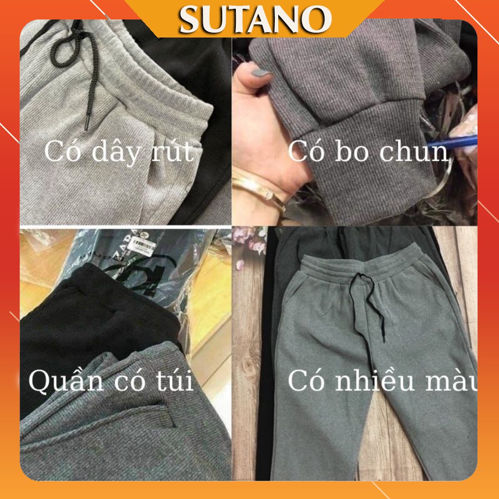 Quần joger nữ len tăm bo gấu lưng thun_Quần Jogger Len Tăm Nữ Q302 SUTANO