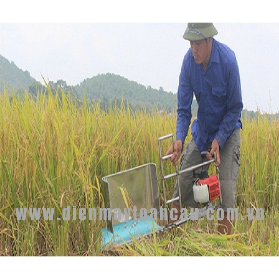 Máy cắt lúa, máy gặt lúa cầm tay HT230 (gặt lúa, cắt tỉa cây)