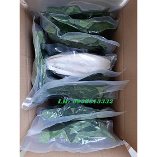 500g LÁ SƯƠNG SÂM LÔNG TƯƠI DÙNG LÀM THẠCH SƯƠNG SÂM MÁT GIẢI NHIỆT