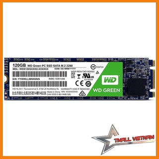 Ổ cứng SSD M2-2280 120G Western