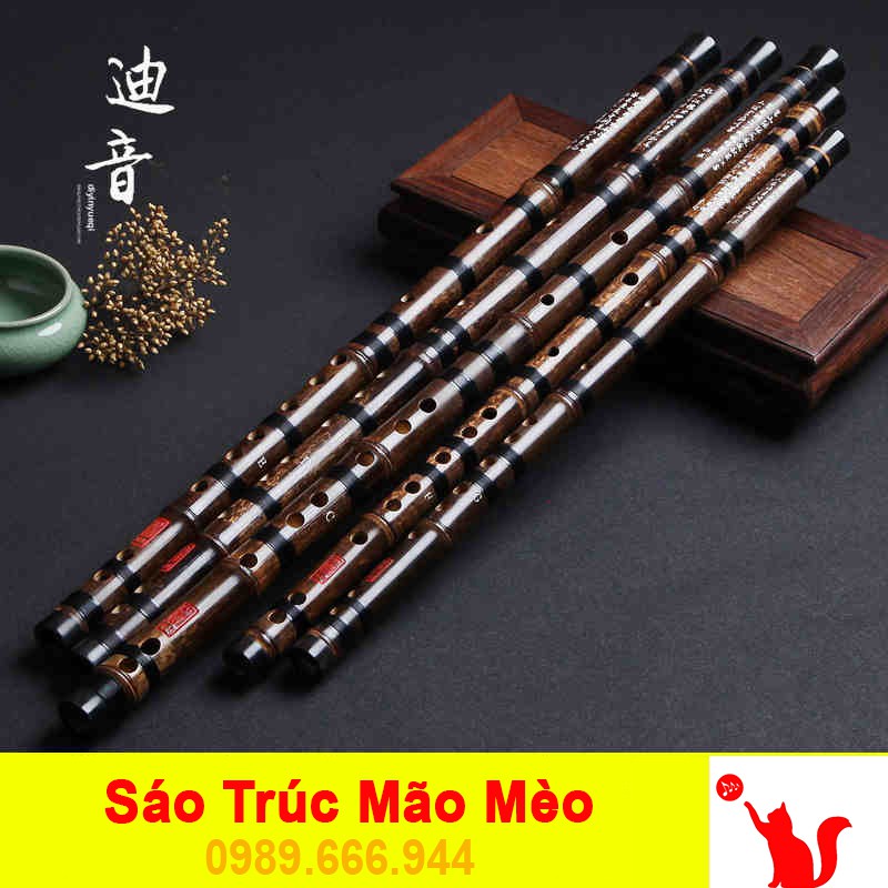 Sáo Dizi Trúc Tím Cao Cấp Bọc Sừng 🎁FREESHIP🎁 Sáo Trúc Mão Mèo Chính Hãng