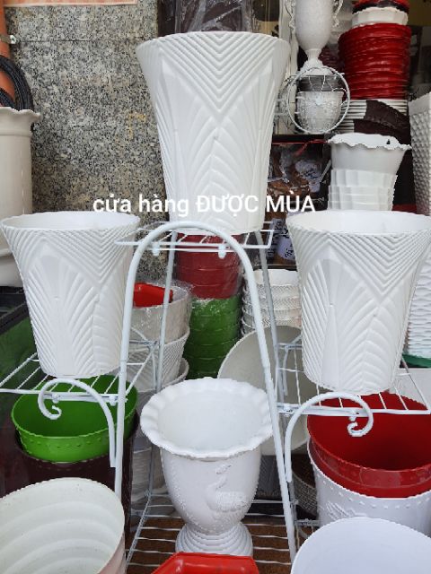 Chậu chiếc lá dạng ống đk 20x24cm