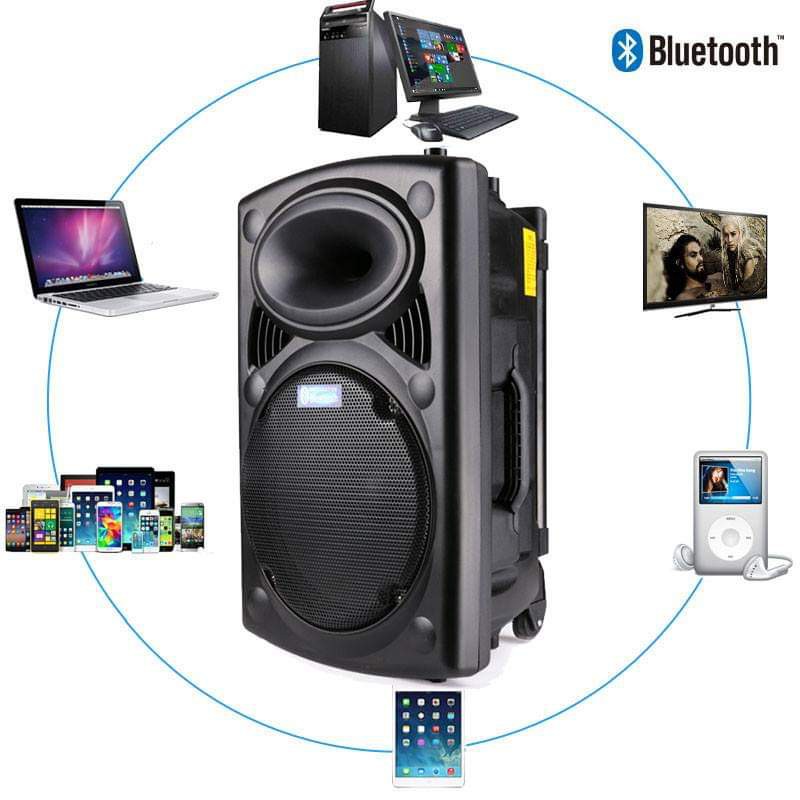 Loa Kéo Tay Karaoke Bass 30Cm. Kết Nối BLUETOOTH, USB , Thẻ Nhớ SD, AV.. Tặng 2 Micro Không Dây