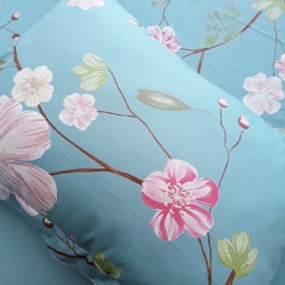 Bộ ga gối cotton hàn quốc