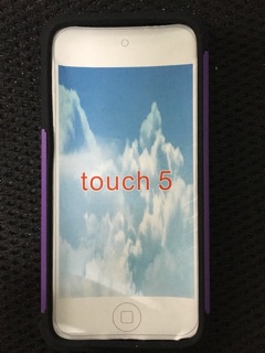 Ốp lưng Ipod Touch 5th 6th