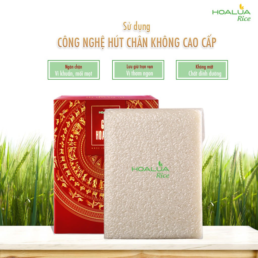 Gạo Hộp Hoa Lúa Đỏ - Gạo Dẻo Mềm, Ngọt Đậm Đà, Nở 50% | BigBuy360 - bigbuy360.vn