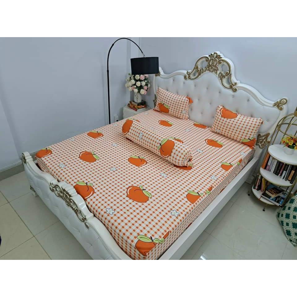 Bộ drap thun vừa rẻ vừa đẹp, nhiều mẫu xinh