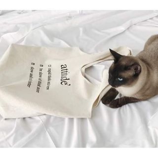 Túi tote attitude vải kaki mềm