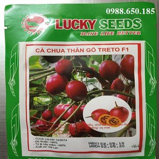 HẠT GIỐNG CÀ CHUA THÂN GỖ TRETO F1