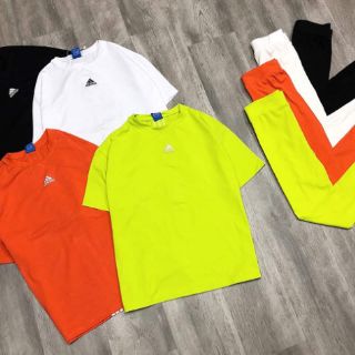 Bộ cotton cao cấp AD ỐNG BO