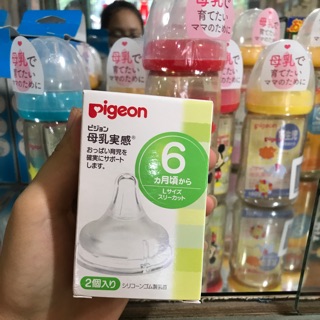 Núm ti Pigeon