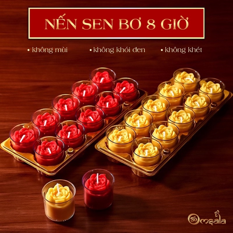 10 cốc nến bơ đúc hình hoa sen loại 8 tiếng