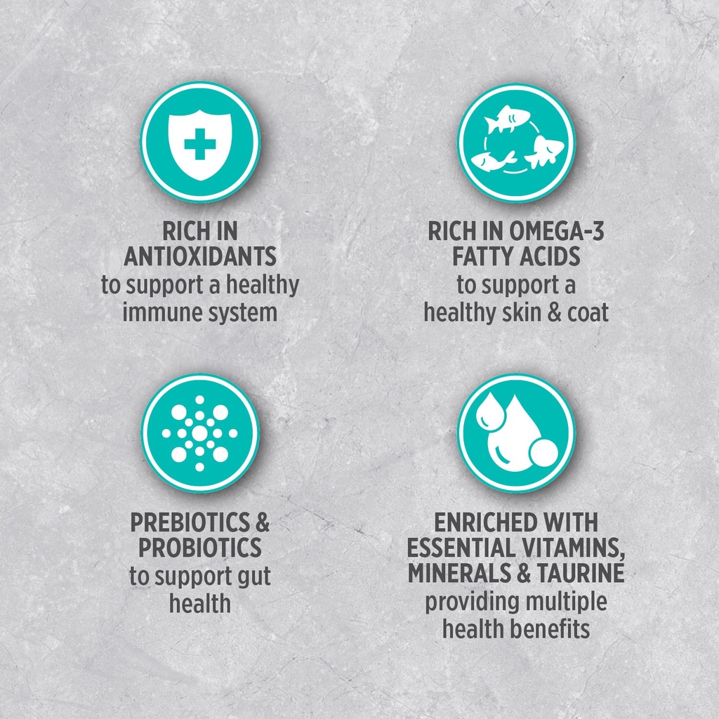 Hạt Nutrience Infusion Adult Indoor cho mèo trưởng thành