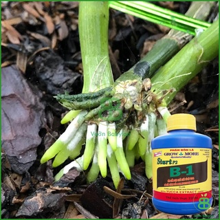 Phân bón lá cao cấp vitamin B1 Start của Growmore chai 235ml