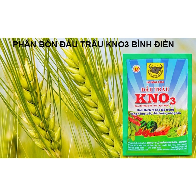 PHÂN BÓN ĐẦU TRÂU KÍCH RA HOA ĐỒNG LOẠT - KALI TRẮNG - 200G