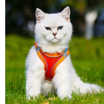 Dây dắt chó đi dạo ,dây yếm đai áo ngực cho chó mèo có vòng phản quang CANDYPETS DD01