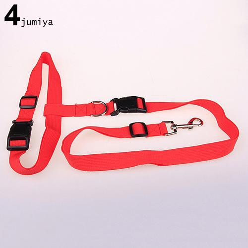 Dây xích chó đeo ngang hông tiện dụng dùng chạy bộ