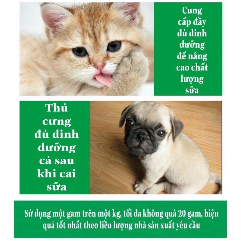 Bột kích sữa và cải thiện chất lượng sữa cho chó mèo, giảm stress cho chó mèo mẹ sau sinh, tăng đề kháng cho chó mèo con
