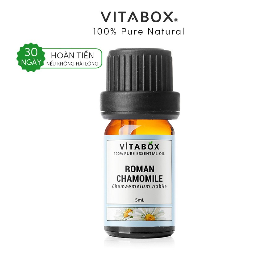 Tinh dầu Cúc La Mã Chamomile Roman VITABOX 100% thiên nhiên nguyên chất – pure essential oil