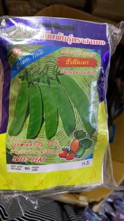 Hạt giống đậu hà lan dẹp thái lan