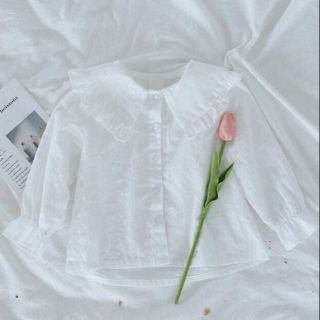 Sơ mi bèo bé gái