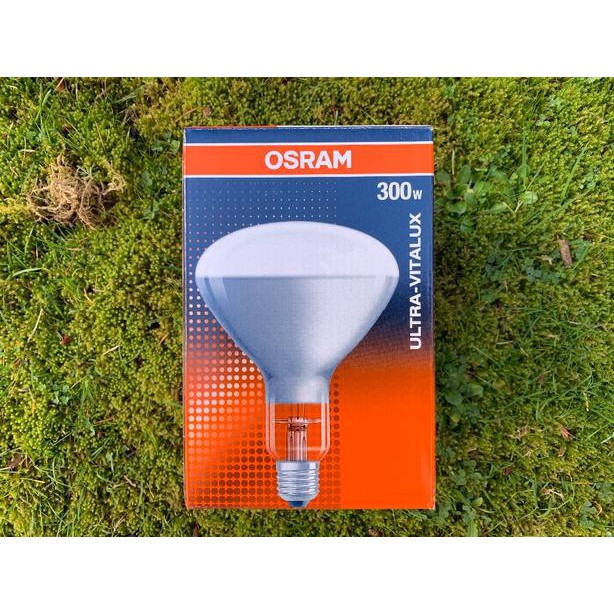 (SALE) Bóng đèn UV Osram Ultra Vitalux 300W