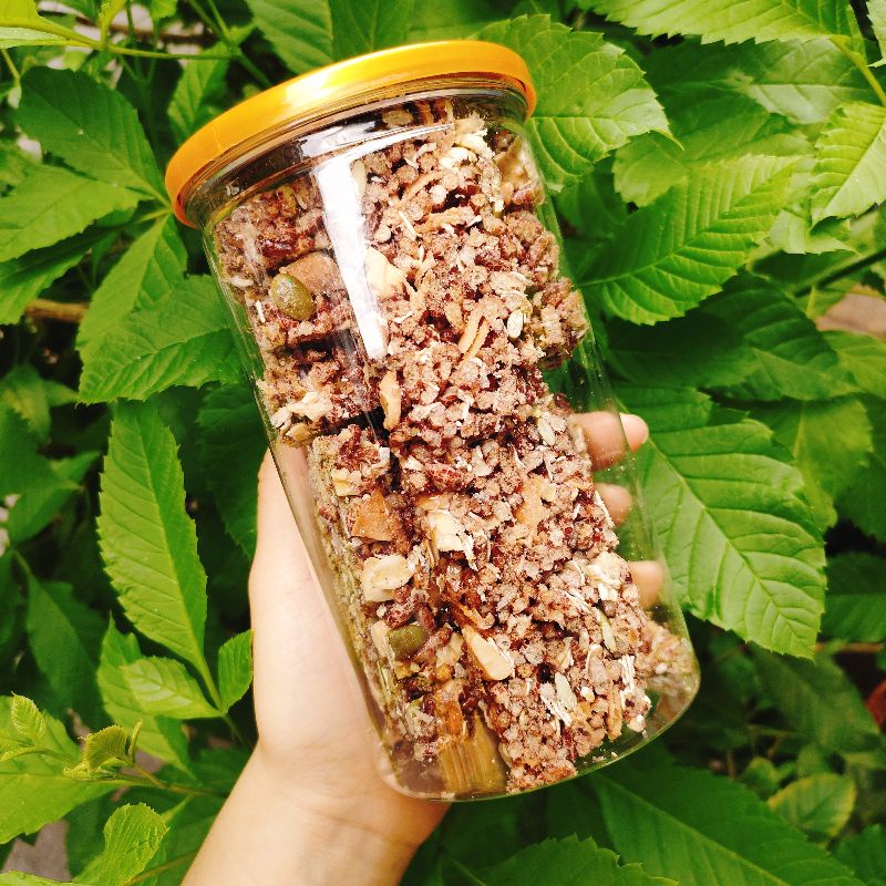 Thanh Gạo Lức Hạt &amp; Dừa Sấy Giòn 250gr