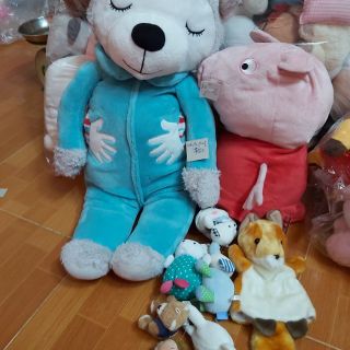 Gấu bông trần thủy