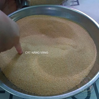 Cát Nắng Vàng Trải Nền Bể Thuỷ Sinh - Cát trải nền siêu đẹp