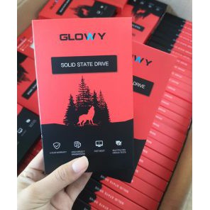 [Mã 255ELSALE giảm 7% đơn 300K] Ổ cứng SSD Gloway 120GB SATA3 6Gb/s 2.5" | BigBuy360 - bigbuy360.vn