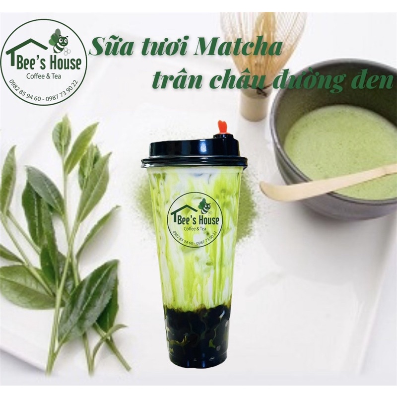 [ Bee’s House ] Sữa tươi Matcha trân châu đường Bee