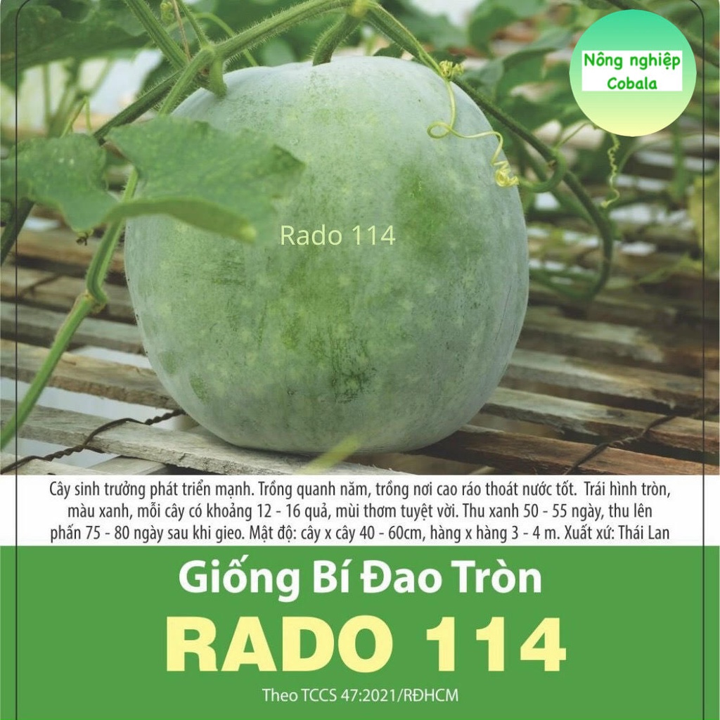 Hạt Giống Bí Đao Tròn (RADO114)
