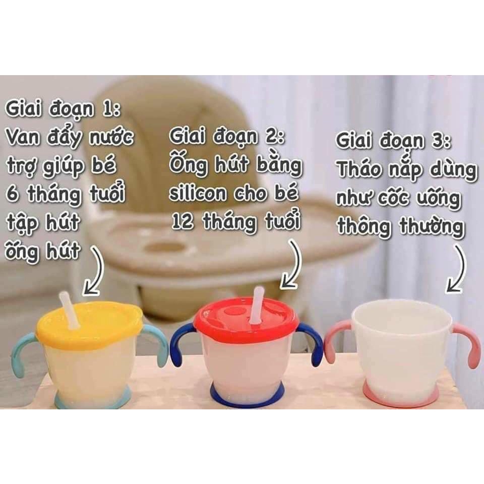 Cốc Tập Uống 3 Giai Đoạn Richell Chính Hãng (2 màu Xanh, Vàng)