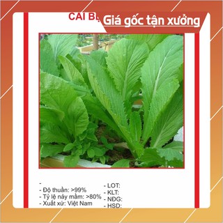 Hạt giống Cải Bẹ Xanh Mỡ 20gr ~4000 Hạt Hạt giống