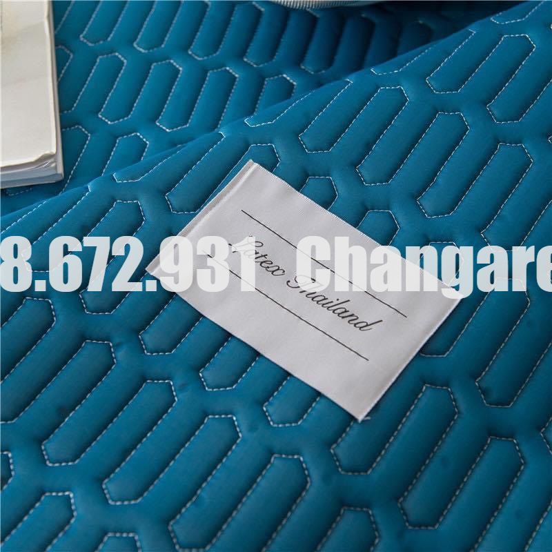 Chiếu điều hòa cao su non Tencel Latex kèm 2 vỏ gối đầu mát lạnh hàng nhập giá rẻ dủ kích thước m6 m8 2m