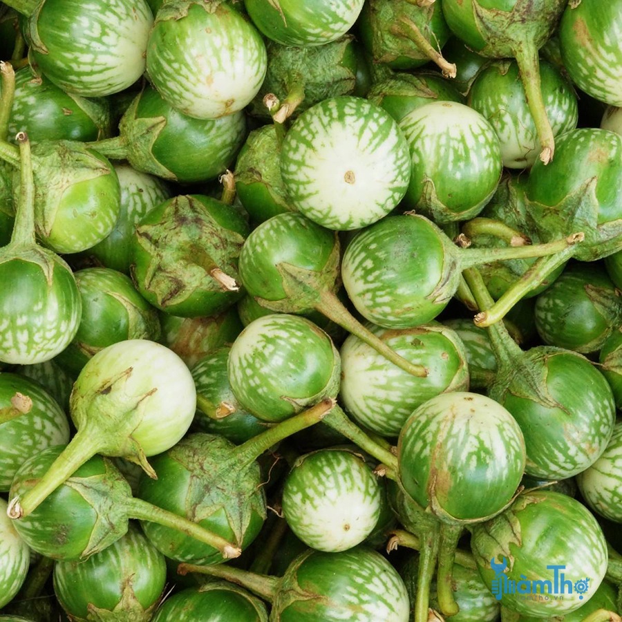 Hạt giống cà ghém cà ngọt lai F1 giòn ngon - rau củ quả trồng chậu, sân vườn ngon giòn ngọt nảy mầm cao 0.2gr RADO 525