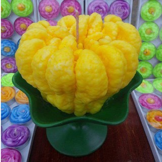 Nến phật thủ