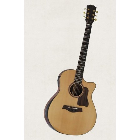 Acoustic Guitar Taylor Việt Nam D450 có EQ MET B12