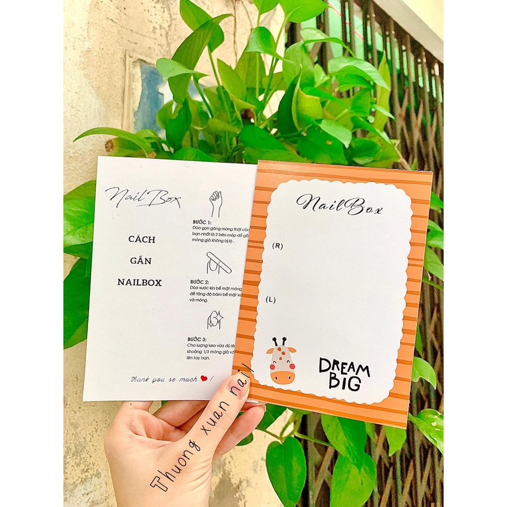 Thẻ Nails Box y ảnh